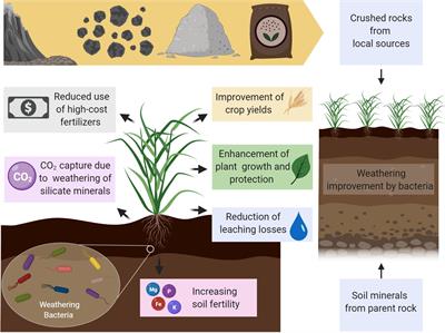 effects of weathering on human life